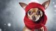Cute chihuahua dog in red knitted hat and scarf on snowy background. ai generative
