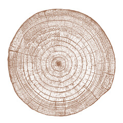 Wall Mural - Wood texture cross section of tree rings. Cut slice of wooden stump isolated on white. Textured surface with rings and cracks. Brown background made of hardwood from the forest. Vector illustration.