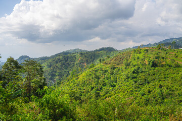 Wall Mural - Slopes of the Gunung Lawu Volcano, Java, Indonesia