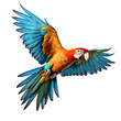 Parrot in Flight Isolated on Transparent or White Background