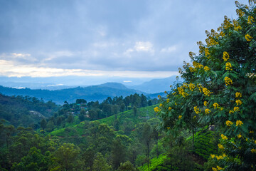 Stunning mountain scenery with dramatic clouds, a vibrant sky, lush trees, and colorful wildflowers—a captivating showcase of natural beauty