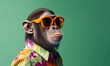 Happy monkey with sunglasses and colorful shirt peek