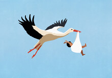 White Stork Delivering Baby Boy, Flying In Blue Sky

