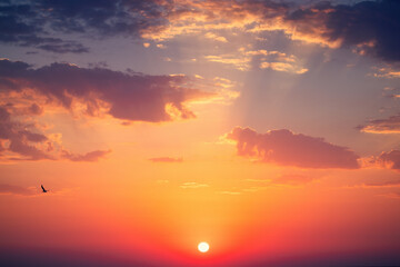 Wall Mural - sunset dramatic sky clouds and flying bird