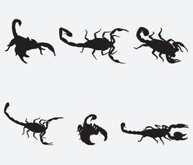 Wall Mural - Set of Scorpion Silhouette Vector Art on White Background