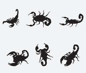 Wall Mural - Set of Scorpion Silhouette Vector Art on White Background