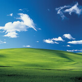 Fototapeta Przestrzenne - green field and blue sky