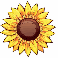 Wall Mural - sunflower on white