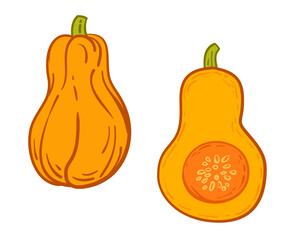 Wall Mural - Cartoon hand drawn half or piece of pumpkin in flat doodle style. Decoration or design element for holiday, health food, farm plant. Sketch vector illustration.