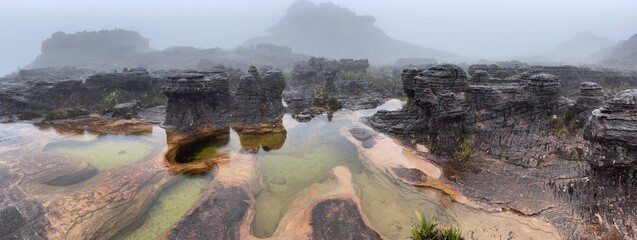 Wall Mural - Surreal natural pools on top of table Mount Roraima, Venezuela, Canaima National Park, South America