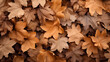 dry leaves brown dry leaves Drop and pile up a lot. . Background for design
