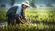 Asian farmer harvesting rice. AI generated
