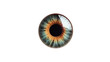 eye iris. Isolated on Transparent background.