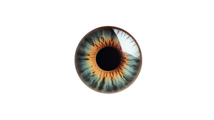 eye iris. Isolated on Transparent background.