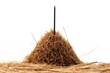 White background isolation of needle in haystack