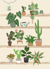 Wall Mural - Home plants vector illustrations set.