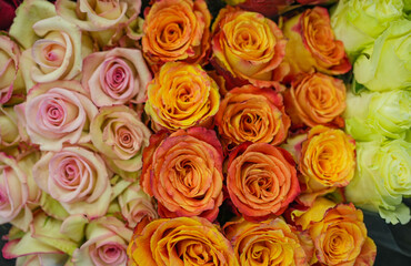 Sticker - bouquets of rose flowers with different color