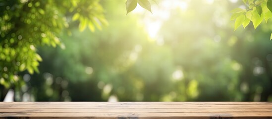 Green tree garden with wood table for food display bokeh light background in spring and summer