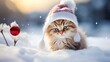 adorable kitten rolling in the winter snow with a hat and scarf