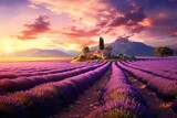 Fototapeta Natura - Inspiring landscape with lavender fields