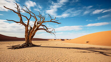 Tree In The Desert