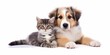 Puppy dog and cute kitten lie together. isolated on white background. PNG. Two puppies. Post-processed generative AI, Generative AI 