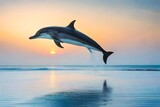 A spinner dolphin in red sea, cute dolphin acts in sea, dolphin is jumping out in the red sea