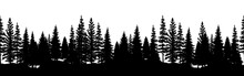 Evergreen Trees Forest Silhouette. Seamless Border. Vector Illustration