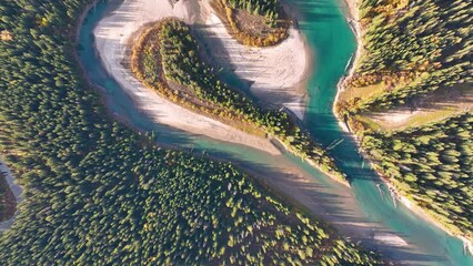 Wall Mural - a drone view of the river in the woods. an aerial view of an autumn forest. winding river among the 