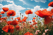A stunning field of red poppies grows in a large field with a beautiful blue sky above during the day. 