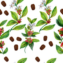 Seamless Pattern Of Flowers Leaves  Coffee And Coffee Beans, A Background With Watercolor Hand-drawn Coffee Springs With Fruits, Leaves And Flowers, And Bean Halves.