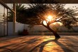Sunrise illuminates a garden with a young tree. Conceptual design. Generative AI