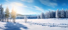 Panoramic View Of Winter Landscape Of Pine Trees With Blue Sky In Morning Sunlight
