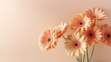 Aesthetic Sunlight Casts Shadows On Coral Gerbera Flowers Atop A Beige Background Creating A Simple And Elegant Floral Arrangement