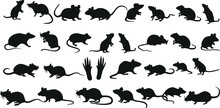 Rat Silhouettes Vector Illustration Featuring A Collection Of Rat Silhouettes In Various Poses. Perfect For Pest Control, Halloween, Or Chinese New Year Designs.