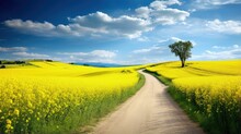 Picturesque Nature Landscape With Yellow Fields A Road And A Stunning Valley In Bloom
