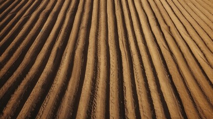 Poster - A view of plowed fields prepared for planting crops and growing vegetation in fertile soil Agricultural landscape
