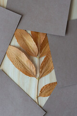 Wall Mural - dried wrinkled yellowed or browned autumn leaf partly covered with blank cards