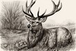 © William - Handmade art drawing of a vintage stag in a natural setting. Generative AI