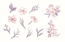 Pastel Pink And Purple Floral Collection