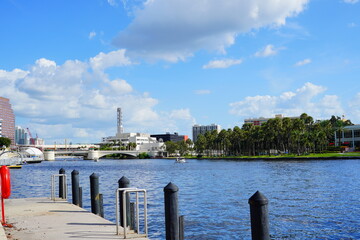 Poster - Landscape of Hillsborough river at Tampa, Florida	