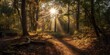 Sunlight in the forest, generative AI
