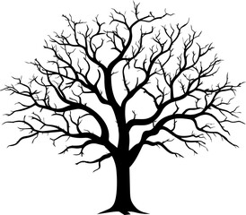 tree silhouette isolated on white background