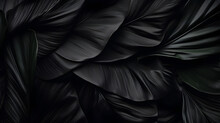 Textures Of Abstract Black Leaves For Tropical Leaf Background. Flat Lay, Dark Nature Concept, Tropical Leaf, Digital Ai