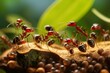 Ants collaborating in a cartoon colony. Emphasis on teamwork. Generative AI