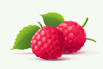 Raspberry vector flat minimalistic isolated vector style illustration