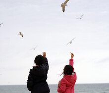 Two Girls Feeding Seagulls (back View)