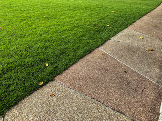 Wall Mural - path in the park