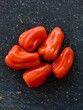 Red. Habanero peppers 