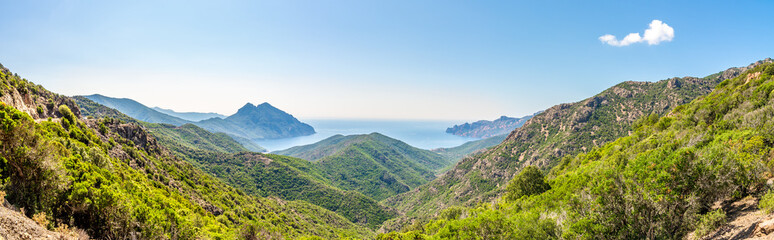 Wall Mural - Panoramic view at the nature of Corsica (West coast) in France